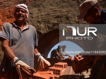 Red brick factory workers in Fayoum, Egypt, on October 5, 2024. (