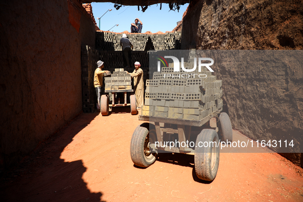 Red brick factory workers in Fayoum, Egypt, on October 5, 2024. 