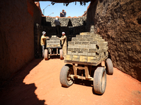 Red brick factory workers in Fayoum, Egypt, on October 5, 2024. (