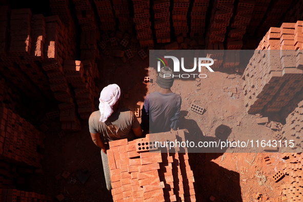 Red brick factory workers in Fayoum, Egypt, on October 5, 2024. 