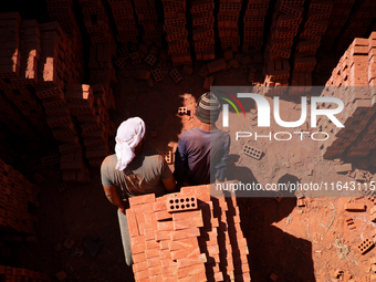 Red brick factory workers in Fayoum, Egypt, on October 5, 2024. (