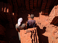 Red brick factory workers in Fayoum, Egypt, on October 5, 2024. (