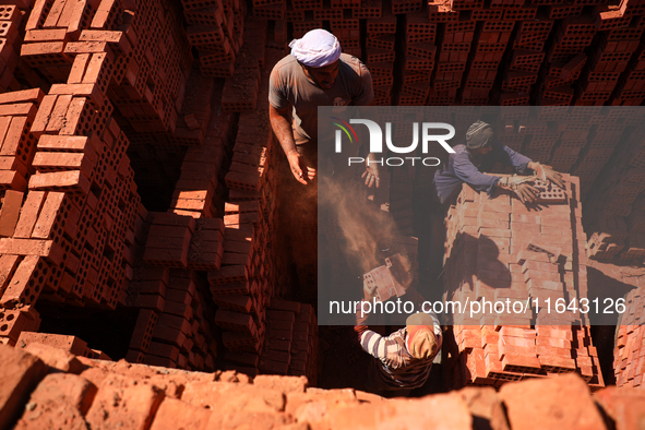 Red brick factory workers in Fayoum, Egypt, on October 5, 2024. 