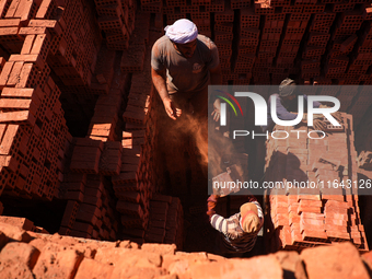 Red brick factory workers in Fayoum, Egypt, on October 5, 2024. (