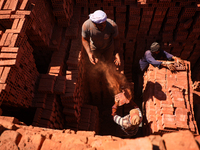 Red brick factory workers in Fayoum, Egypt, on October 5, 2024. (