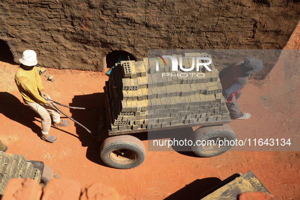 Red brick factory workers in Fayoum, Egypt, on October 5, 2024. 