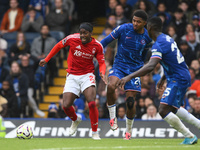 Anthony Elanga of Nottingham Forest is under pressure from Wesley Fofana and Moises Caicedo of Chelsea during the Premier League match betwe...