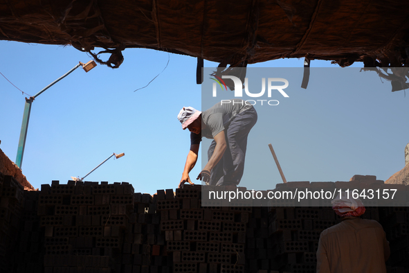 Red brick factory workers in Fayoum, Egypt, on October 5, 2024. 