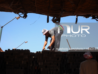 Red brick factory workers in Fayoum, Egypt, on October 5, 2024. (