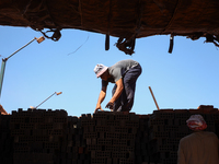 Red brick factory workers in Fayoum, Egypt, on October 5, 2024. (