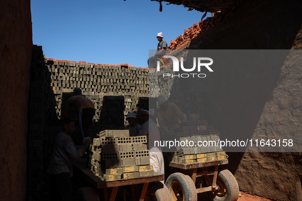 Red brick factory workers in Fayoum, Egypt, on October 5, 2024. 