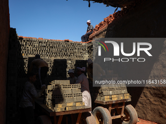 Red brick factory workers in Fayoum, Egypt, on October 5, 2024. (