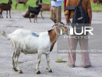 A Nepali customer holds a he-goat after selecting it at a subsidized outlet operated by the government in Kathmandu, Nepal, on October 6, 20...