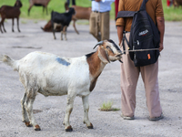 A Nepali customer holds a he-goat after selecting it at a subsidized outlet operated by the government in Kathmandu, Nepal, on October 6, 20...