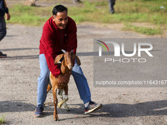 A Nepali customer drags a he-goat after selecting it at a subsidized outlet operated by the government in Kathmandu, Nepal, on October 6, 20...