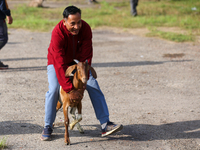 A Nepali customer drags a he-goat after selecting it at a subsidized outlet operated by the government in Kathmandu, Nepal, on October 6, 20...