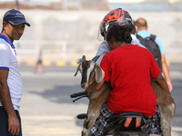 A Nepali customer carries a he-goat after selecting it at a subsidized outlet operated by the government in Kathmandu, Nepal, on October 6,...