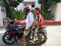 A Nepali customer carries a he-goat on the back of a motorcycle after selecting it at a subsidized outlet operated by the government in Kath...