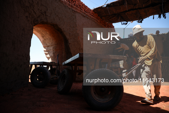 Red brick factory workers in Fayoum, Egypt, on October 5, 2024. 