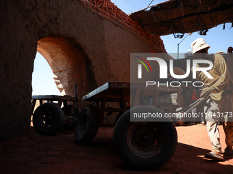 Red brick factory workers in Fayoum, Egypt, on October 5, 2024. (