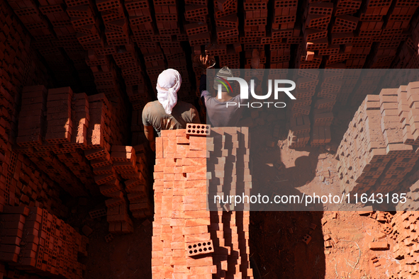 Red brick factory workers in Fayoum, Egypt, on October 5, 2024. 