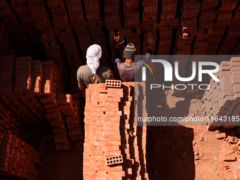 Red brick factory workers in Fayoum, Egypt, on October 5, 2024. (