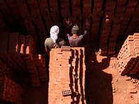 Red brick factory workers in Fayoum, Egypt, on October 5, 2024. (