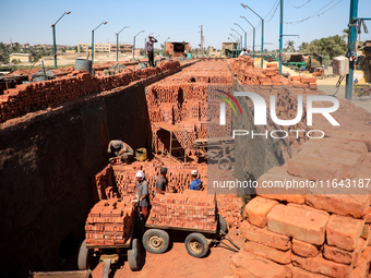 Red brick factory workers in Fayoum, Egypt, on October 5, 2024. (