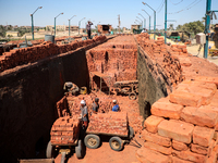 Red brick factory workers in Fayoum, Egypt, on October 5, 2024. (