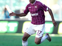 Lilian Njoh of Us Salernitana plays during the Serie B match between Palermo and Salernitana at the Stadio ''Renzo Barbera'' in Palermo, Ita...