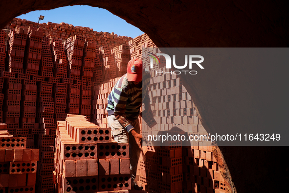 Red brick factory workers in Fayoum, Egypt, on October 5, 2024. 