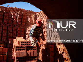 Red brick factory workers in Fayoum, Egypt, on October 5, 2024. (