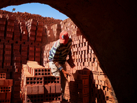 Red brick factory workers in Fayoum, Egypt, on October 5, 2024. (