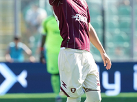 Petar Stojanovic of US Salernitana plays during the Serie B match between Palermo and Salernitana at the Stadio ''Renzo Barbera'' in Palermo...