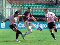 Francesco Di Mariano of Palermo FC is in action during the Serie B match between Palermo and Salernitana at the Stadio Renzo Barbera in Pale...