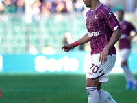 Andres Tello of US Salernitana plays during the Serie B match between Palermo and Salernitana at the Stadio ''Renzo Barbera'' in Palermo, It...