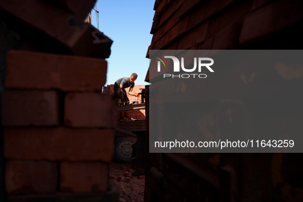 Red brick factory workers in Fayoum, Egypt, on October 5, 2024. 