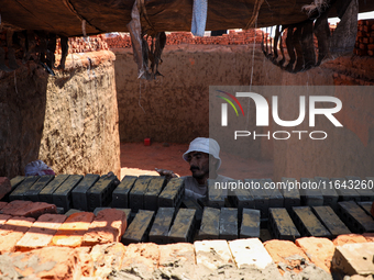 Red brick factory workers in Fayoum, Egypt, on October 5, 2024. (