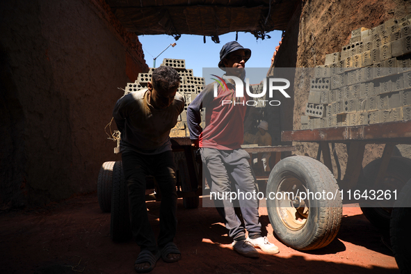 Red brick factory workers in Fayoum, Egypt, on October 5, 2024. 