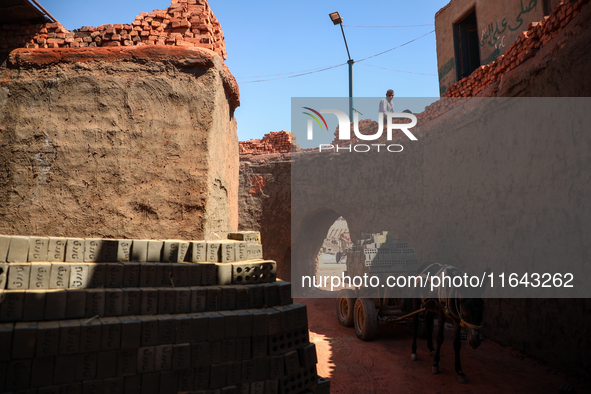 Red brick factory workers in Fayoum, Egypt, on October 5, 2024. 