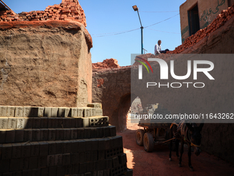 Red brick factory workers in Fayoum, Egypt, on October 5, 2024. (