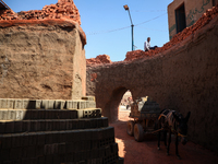 Red brick factory workers in Fayoum, Egypt, on October 5, 2024. (