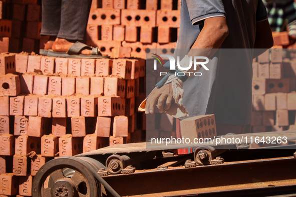 Red brick factory workers in Fayoum, Egypt, on October 5, 2024. 