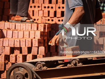 Red brick factory workers in Fayoum, Egypt, on October 5, 2024. (