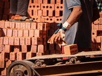 Red brick factory workers in Fayoum, Egypt, on October 5, 2024. (