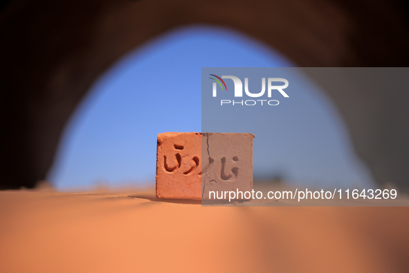 Red brick factory workers in Fayoum, Egypt, on October 5, 2024. 