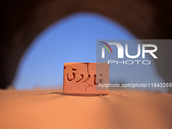 Red brick factory workers in Fayoum, Egypt, on October 5, 2024. (