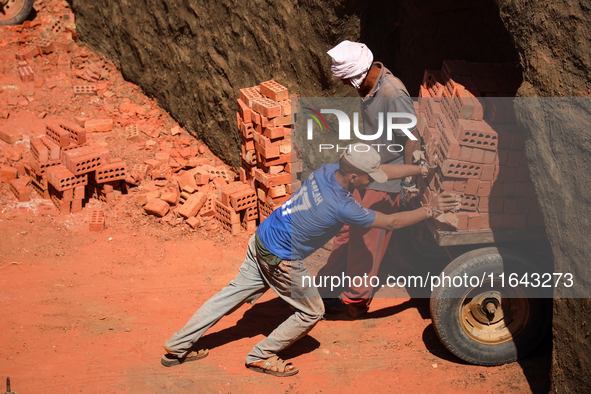 Red brick factory workers in Fayoum, Egypt, on October 5, 2024. 