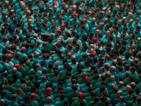 Members of the colla Castellers de Vilafranca build a human tower during the Concurs de Castells competition in Tarragona, Spain, on October...