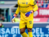 Zion Suzuki of Parma Calcio 1903 looks on during the Serie A Enilive match between Bologna FC and Parma Calcio 1903 at Stadio Renato Dall'Ar...